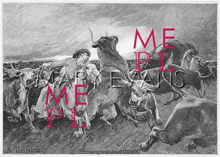 : A STAMPEDED HERD : A STAMPEDED HERD