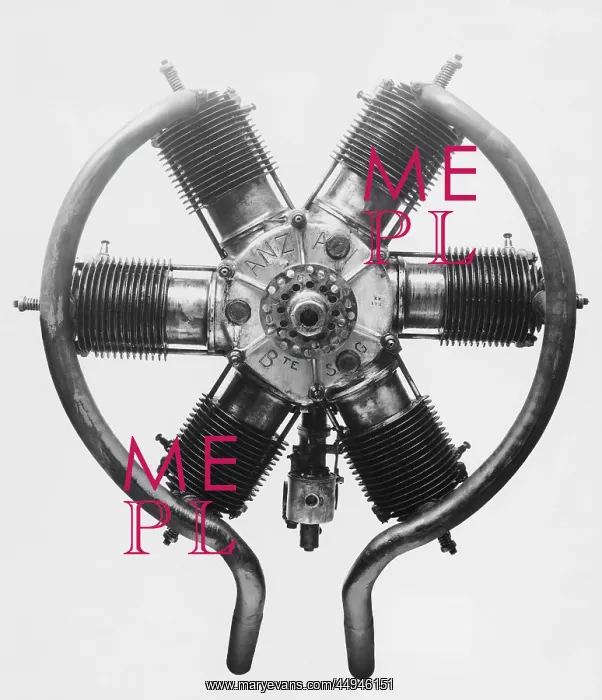 : Stand-Alone View of a 6-Cylinder Anzani Piston-Engine : Stand-Alone View of a 6-Cylinder Anzani Piston-Engine