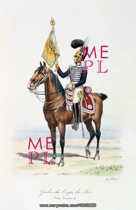 : Standard Bearer of the King's guard with the regimental : Standard Bearer of the King's guard with the regimental