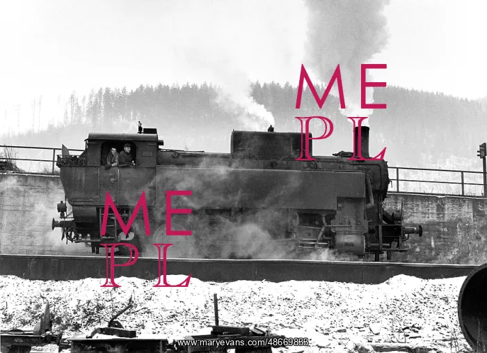 : Standard-guage locomotive : Standard-guage locomotive