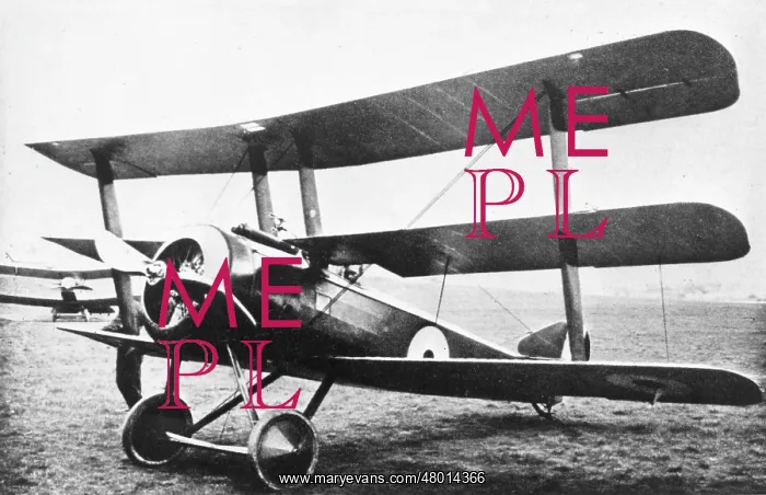 : Standard production Sopwith triplane, WW1 : Standard production Sopwith triplane, WW1