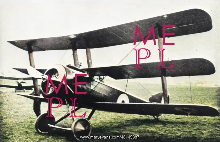 : Standard production Sopwith triplane, WW1 : Standard production Sopwith triplane, WW1