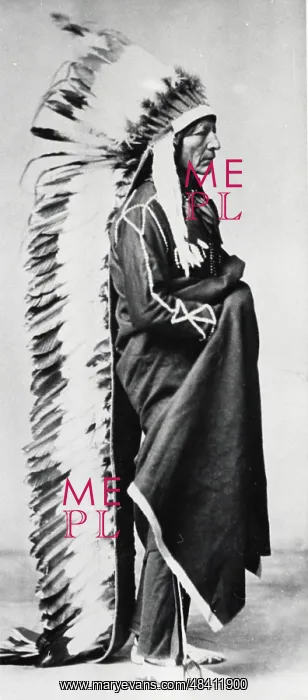 : Standing Bear, Chief of the Sioux, wearing ceremonial : Standing Bear, Chief of the Sioux, wearing ceremonial