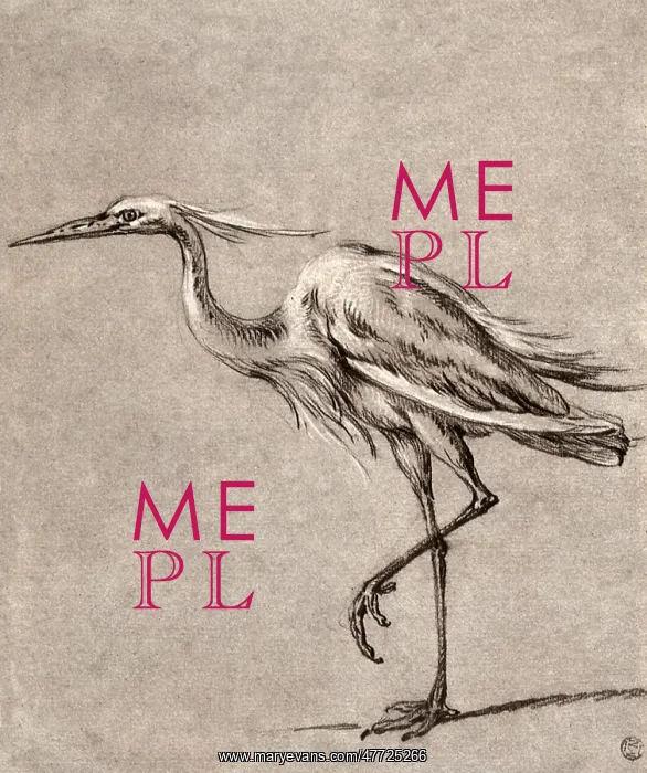  : Standing Heron