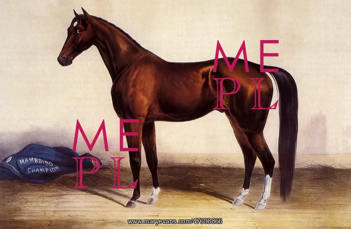  : Standing Horse