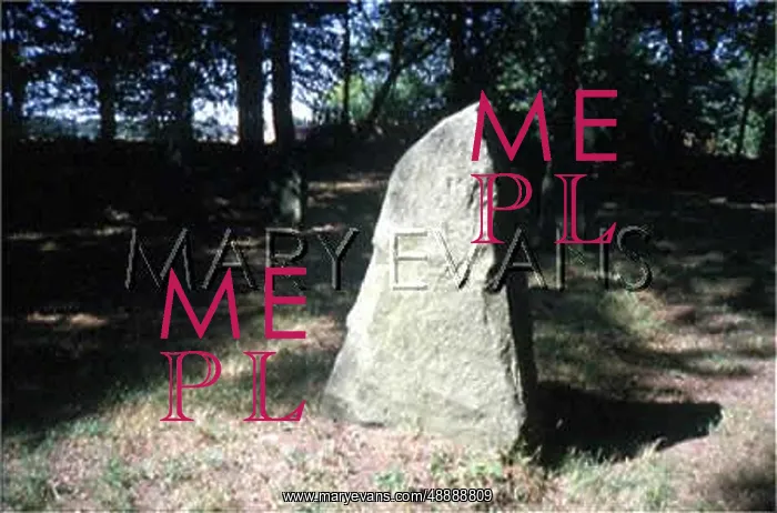 : STANDING STONE / BORNHOLM : STANDING STONE / BORNHOLM