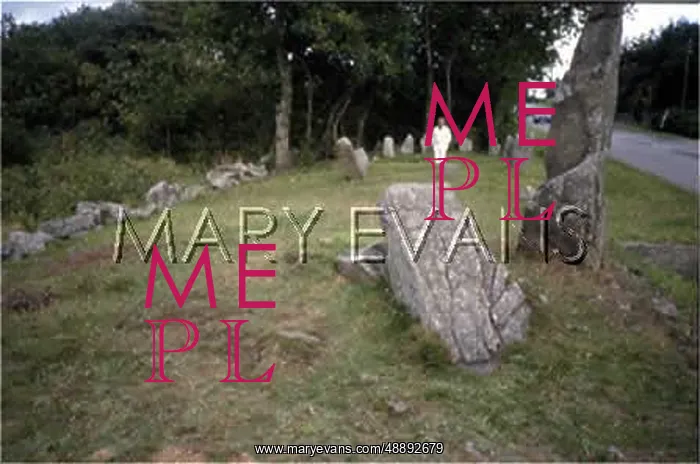 : STANDING STONES / BORNHOLM : STANDING STONES / BORNHOLM