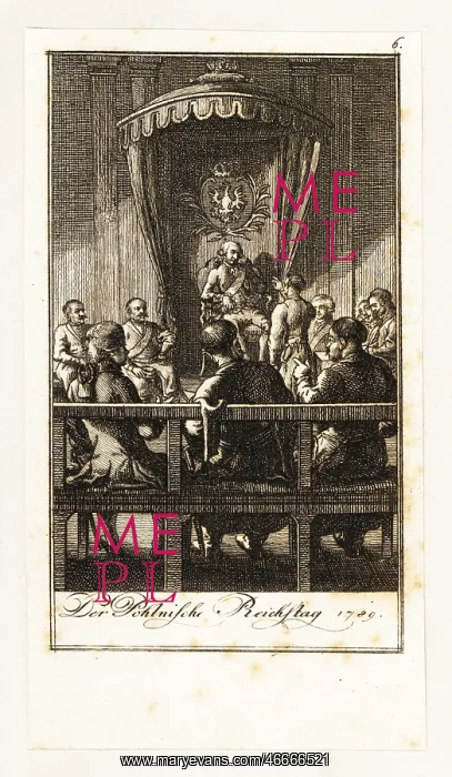 : Stanislaus II Augustus at the Permanent Council, 1789 : Stanislaus II Augustus at the Permanent Council, 1789