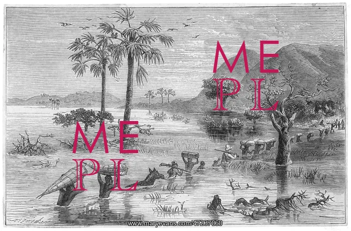 : STANLEY SEARCHES LAKE : STANLEY SEARCHES LAKE