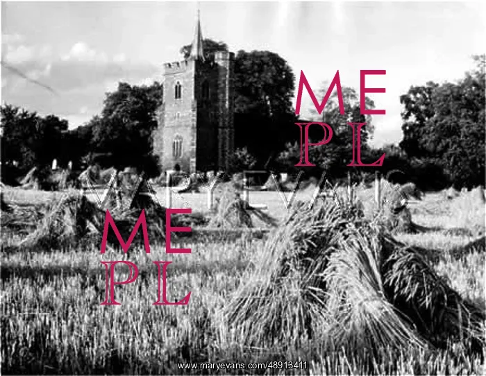 : STANSTEAD ABBOTS CHURCH : STANSTEAD ABBOTS CHURCH