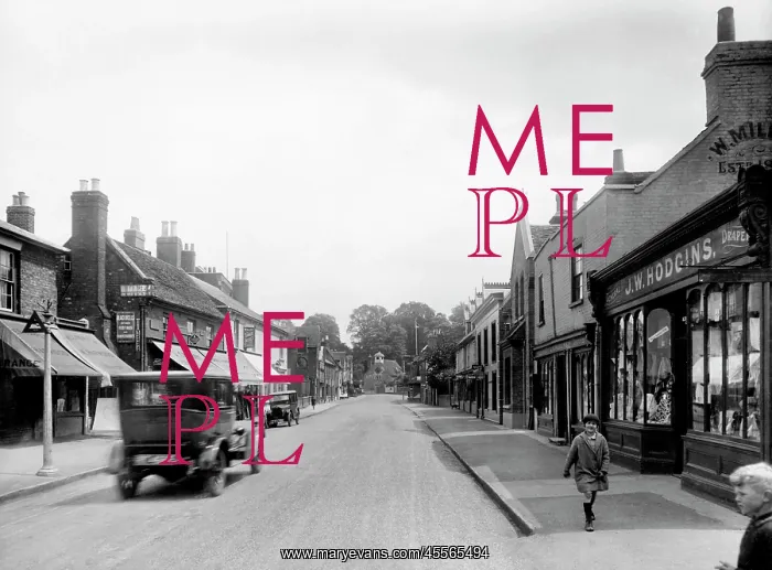  : Stanstead Abbots, High Street 1929