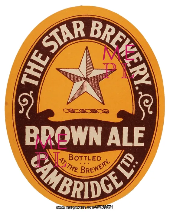  : Star Brewery Brown Ale