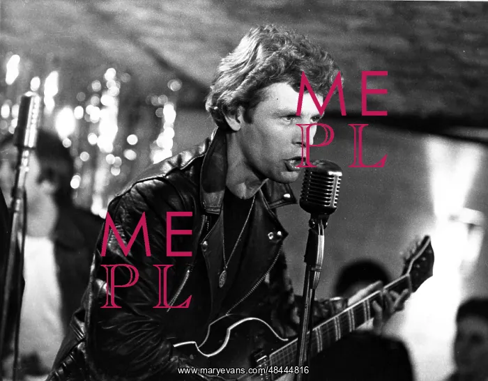 : STARDUST PAUL NICHOLAS : STARDUST PAUL NICHOLAS