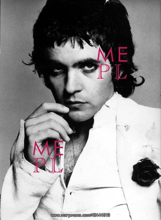 : STARDUST DAVID ESSEX : STARDUST DAVID ESSEX