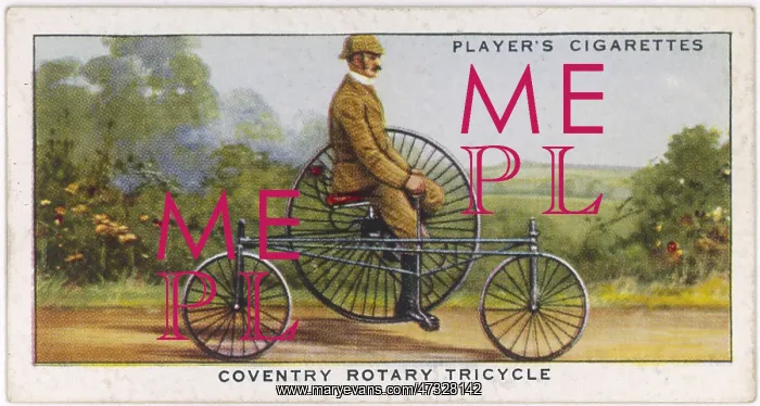  : Starley's Tricycle