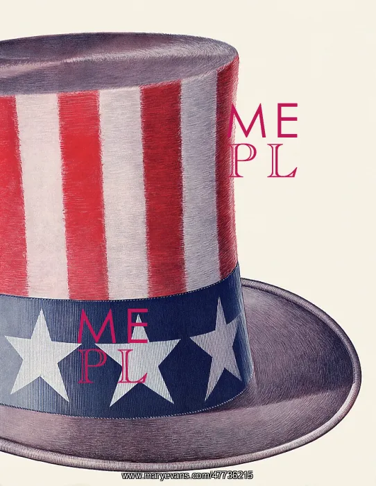  : Stars and Stripes Hat