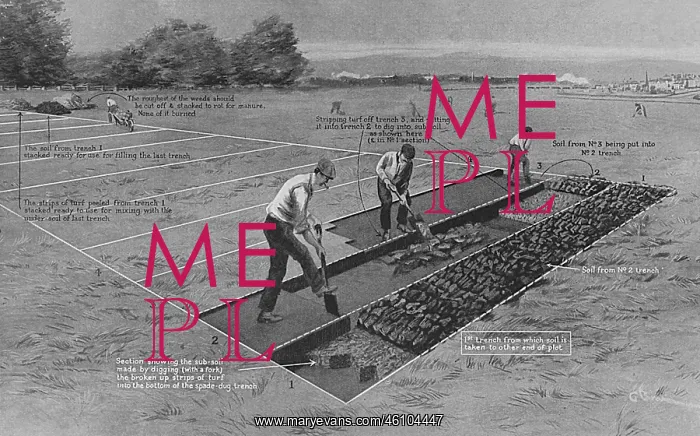 : How to start an allotment during WW1 : How to start an allotment during WW1