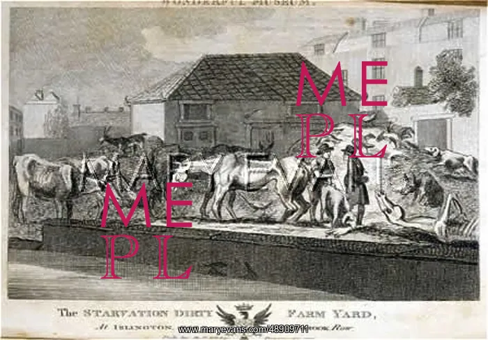 : STARVATION FARMYARD : STARVATION FARMYARD