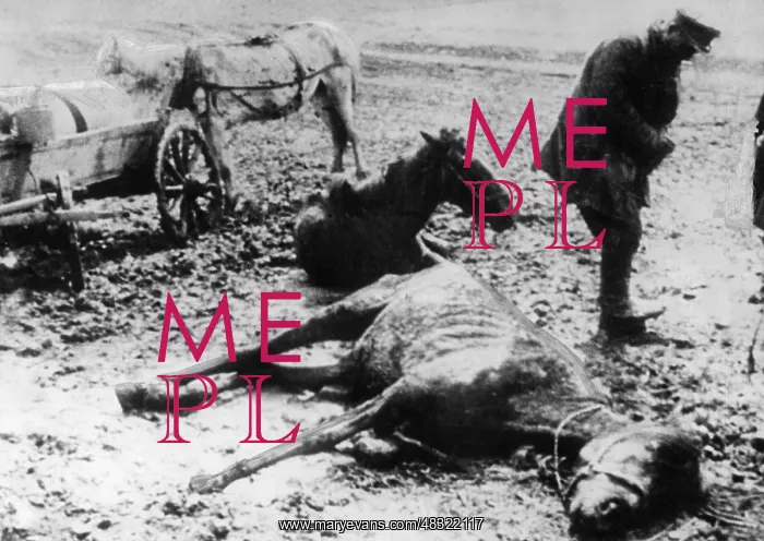 : Starved horse in the Soviet Union : Starved horse in the Soviet Union