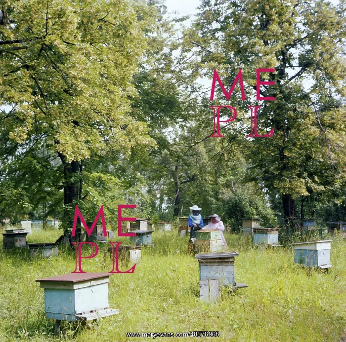 : State apiary Zarya : State apiary Zarya