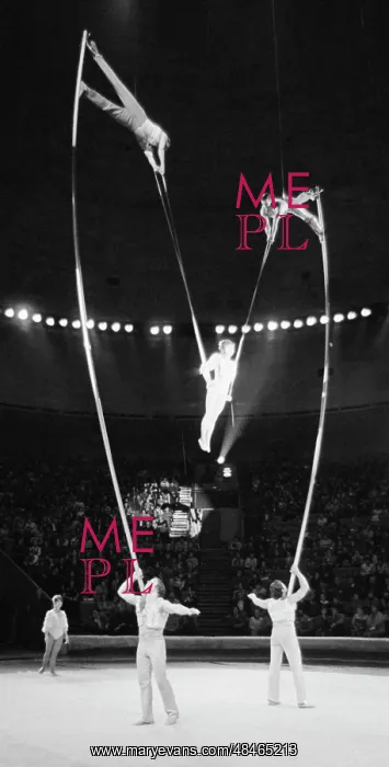 : State circus : State circus