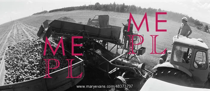 : State Farm named after Kirov : State Farm named after Kirov