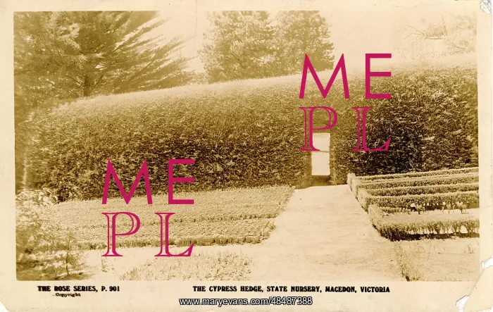 : The State Nursery, Macedon, Victoria : The State Nursery, Macedon, Victoria