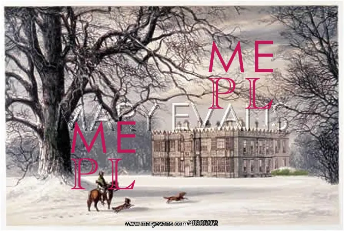 : STATELY HOME IN SNOW 2 : STATELY HOME IN SNOW 2