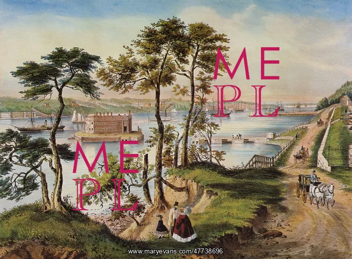 : Staten Island and the Narrows : Staten Island and the Narrows