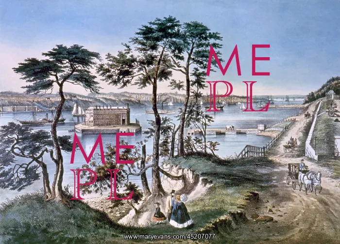: Staten Island and the Narrows, Currier & ? : Staten Island and the Narrows, Currier & ?