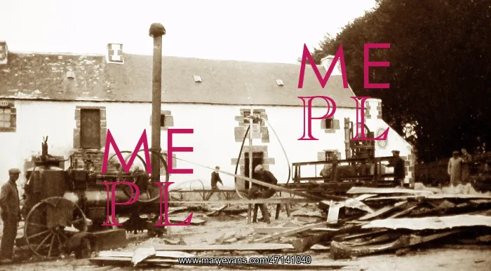 : Stationary steam engine at a sawmill : Stationary steam engine at a sawmill