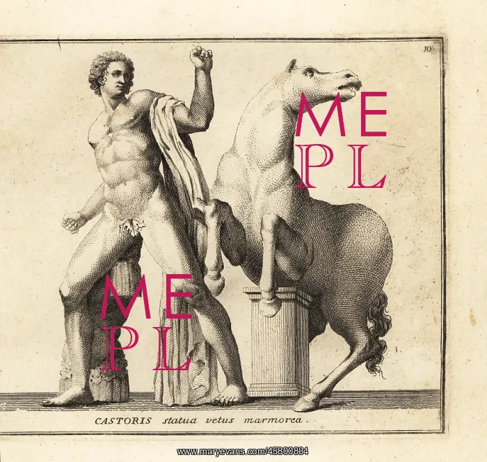  : Statue of Castor, one of the Dioscuri, with horse