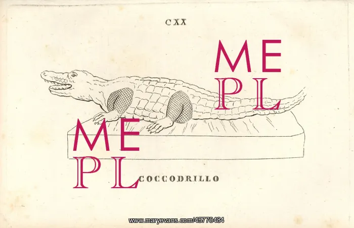 : Statue of a crocodile : Statue of a crocodile