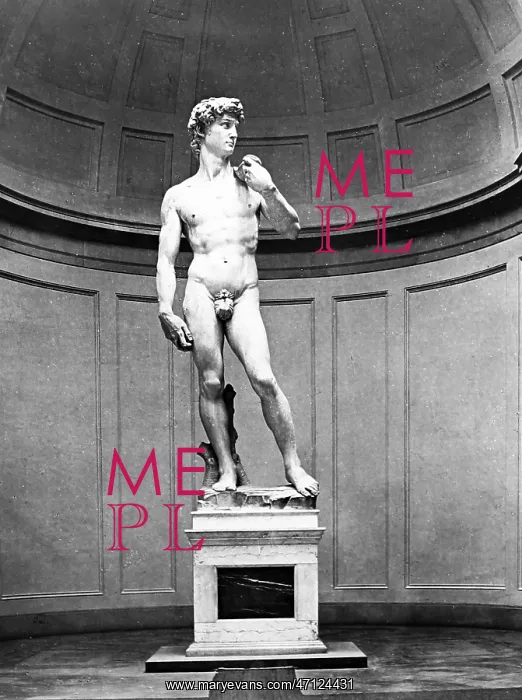 : Statue of David by Michelangelo, Florence, Italy : Statue of David by Michelangelo, Florence, Italy