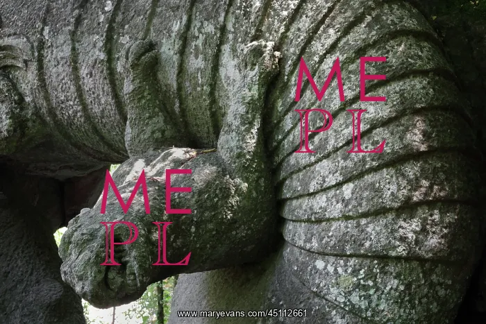 : Statue of dragon fighting, Garden of Bomarzo : Statue of dragon fighting, Garden of Bomarzo