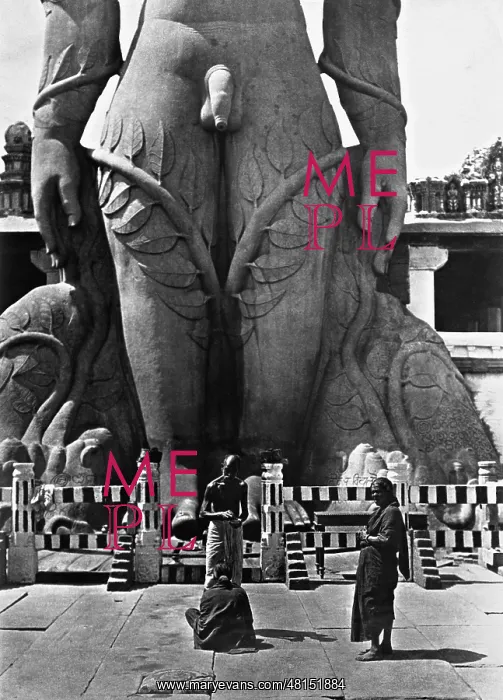 : Statue of the Gomateshvara (Bahubali) : Statue of the Gomateshvara (Bahubali)