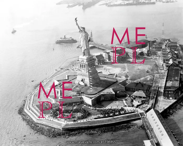 : The Statue of Liberty, Bedloe's Island, ? : The Statue of Liberty, Bedloe's Island, ?