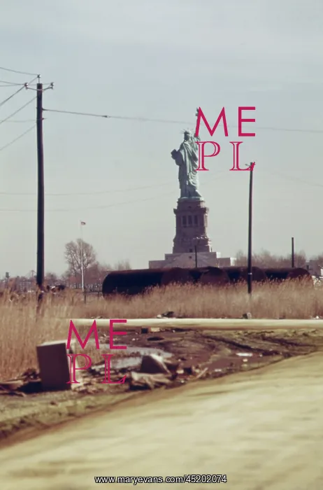 : Statue of Liberty seen from the dump in ? : Statue of Liberty seen from the dump in ?