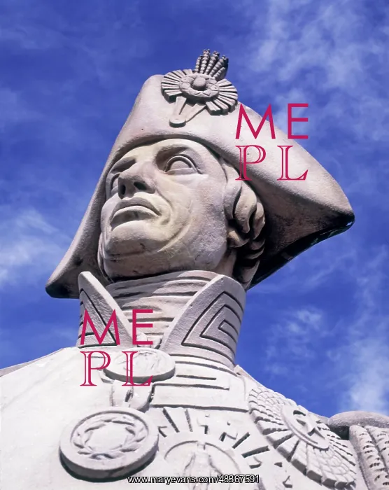 : Statue of Nelson : Statue of Nelson