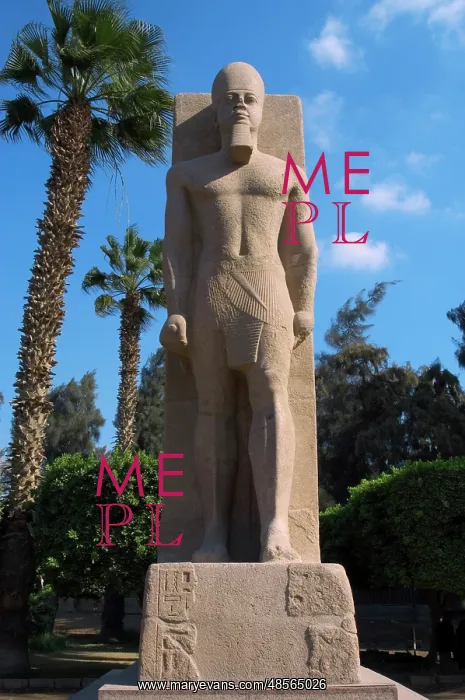 : Statue of Pharaoh Ramses II. Memphis. Egypt : Statue of Pharaoh Ramses II. Memphis. Egypt