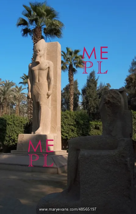 : Statue of Pharaoh Ramses II. Memphis. Egypt : Statue of Pharaoh Ramses II. Memphis. Egypt