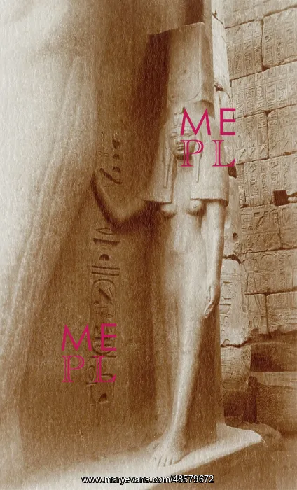 : Statue of Queen Nefertari at the Luxor Temple, Egypt : Statue of Queen Nefertari at the Luxor Temple, Egypt