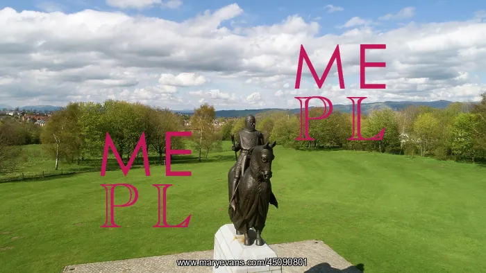 : Statue of Robert the Bruce, Bannockburn battlefield : Statue of Robert the Bruce, Bannockburn battlefield