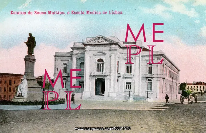 : Statue of Sousa Martins and Medical School, Lisbon, Portugal : Statue of Sousa Martins and Medical School, Lisbon, Portugal