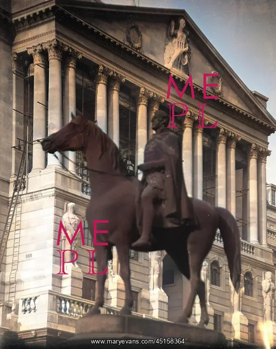 : STATUE OF WELLINGTON : STATUE OF WELLINGTON