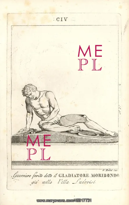 : Statue of a wounded fighter called the Dying Gladiator : Statue of a wounded fighter called the Dying Gladiator