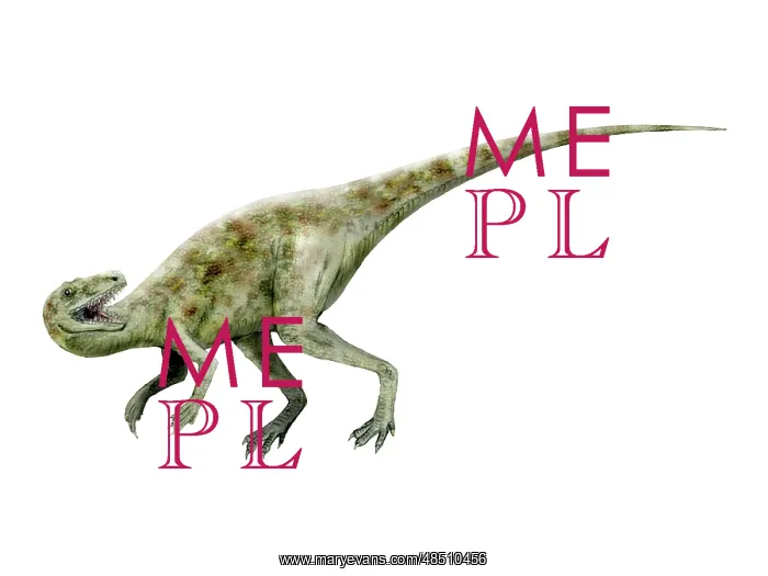  : Staurikosaurus dinosaur