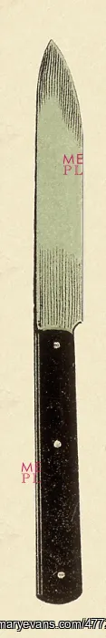 : Steak Knife : Steak Knife