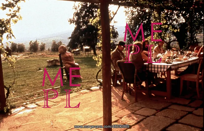 : Stealing Beauty : Stealing Beauty