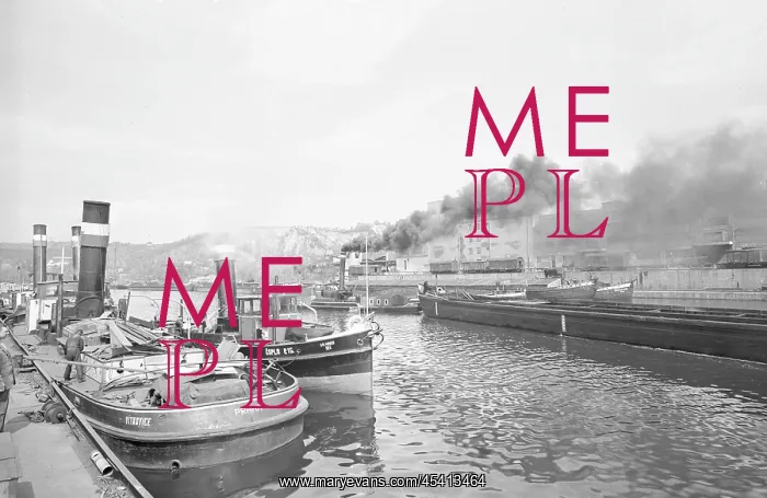 : Steam boats : Steam boats